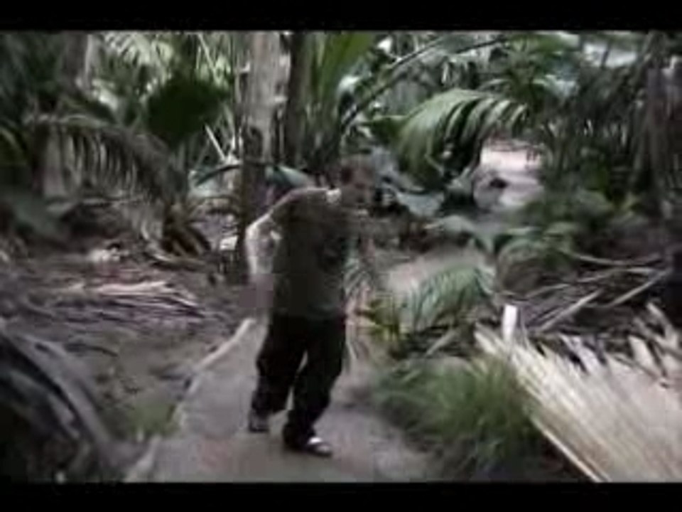 VIDEO AMENY_NEW
