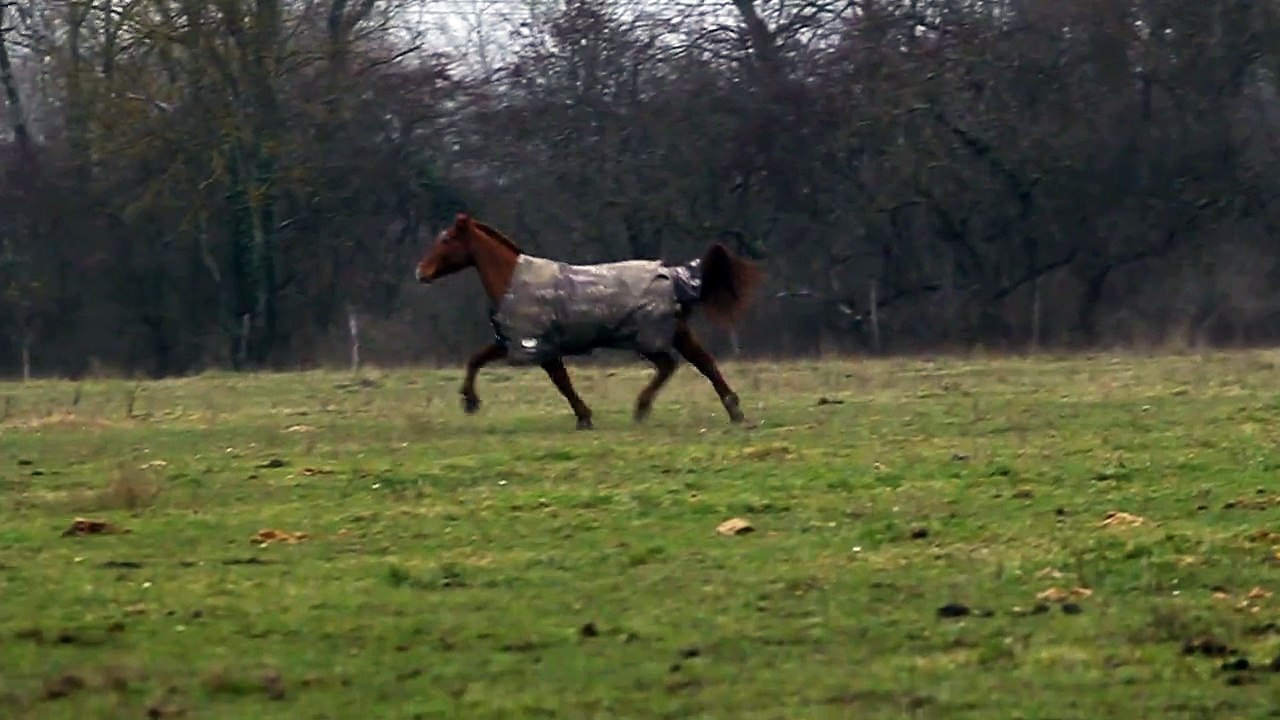 petite course de pré