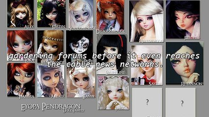 Through The Looking Glass Of Web 2.0