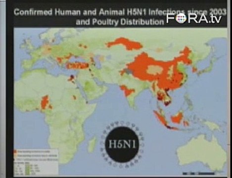 Christopher Dye Hypothesizes on the Next Flu Pandemic