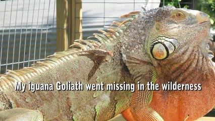 SOMETIMES GOOD THINGS HAPPEN