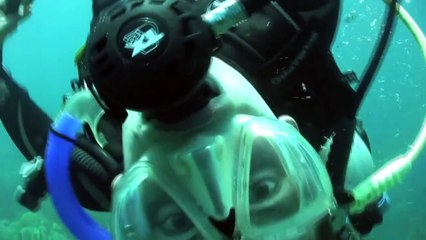 See what happens when you crack an egg underwater