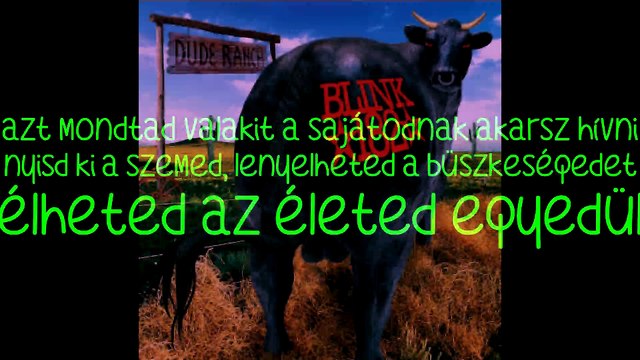 blink-182 -Waggy magyar felirattal