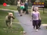 The world_#8217;s most funny dog video