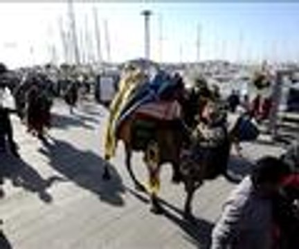 Develer meydana indi