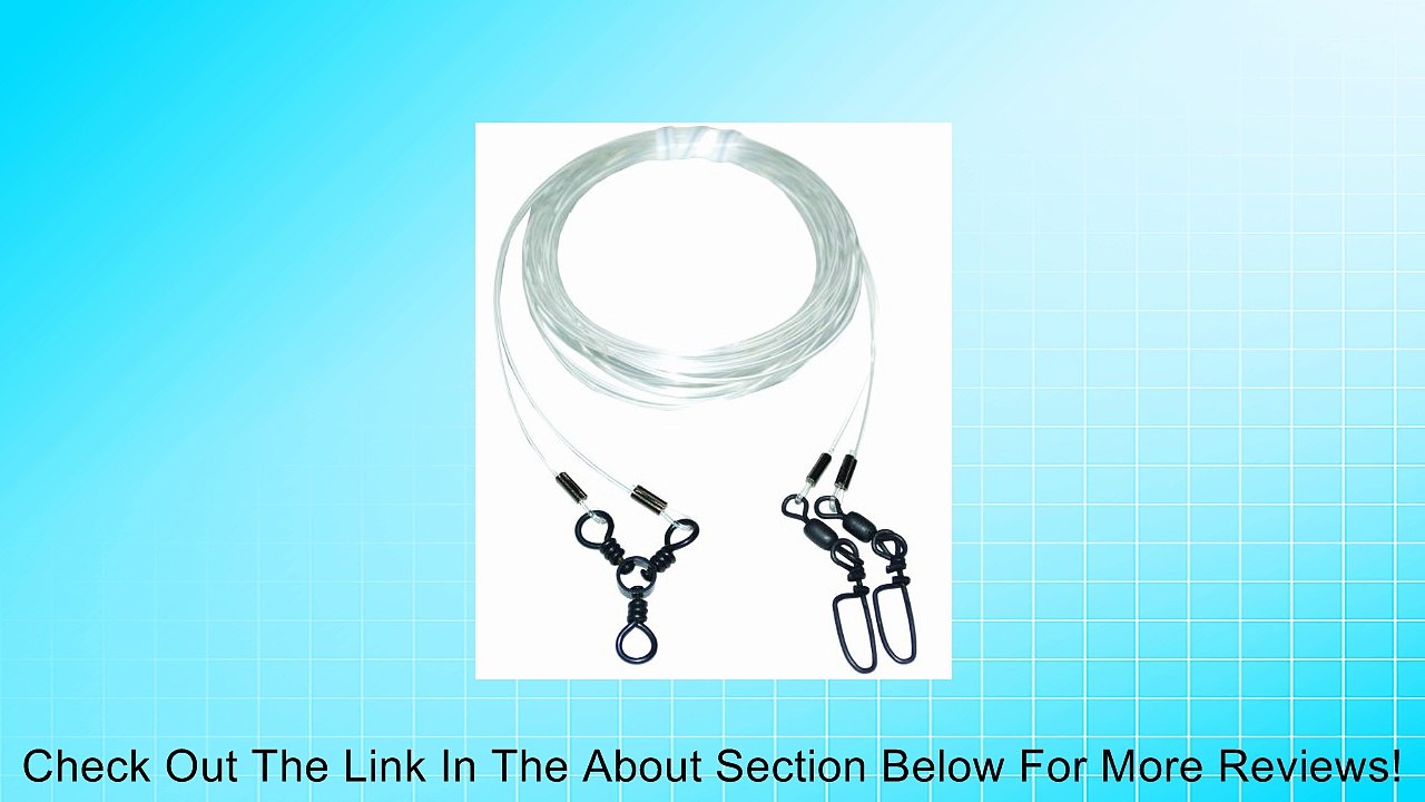 Blue Water Candy Naked Tandem Parachute Rig with Coast Lock Swivels Review