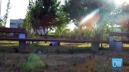 Best HD Funny Video - America Funniest Home Videos , Watch America S Funniest Home Videos