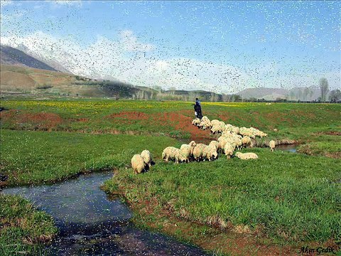 SİDAR BERİTAN DENGBEJİ MACİRİYE KLİP 2015 TRT6 DAMLA TV JİYAN TV