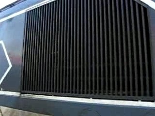 rugissements de bb 67400