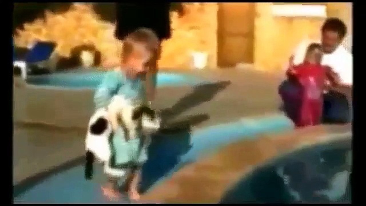 Funny Cats Compilation [Most See] Funny Cat Videos Ever