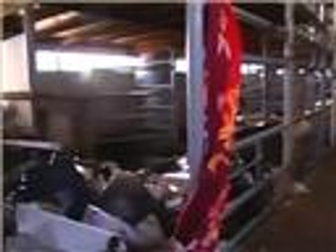 إنقاذ سفينة تقل لاجئين سوريين بإيطاليا