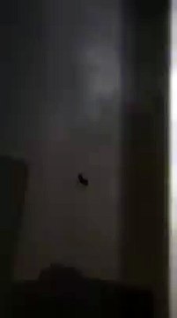 VID-20141129-WA0003.mp4