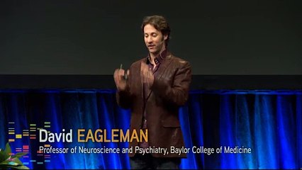 David Eagleman Looks Underneath the Hood of the Brain
