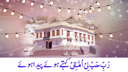 Rabbi Habli Ummati Kehte Hue Paida Hue - Jashan e Wiladat - Maulana Ilyas Qadri