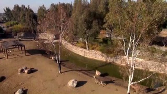 İzmir Doğal Yaşam Parkı'na Ziyaretçi Akını