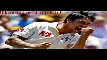 Humorous Moments in World Cricket