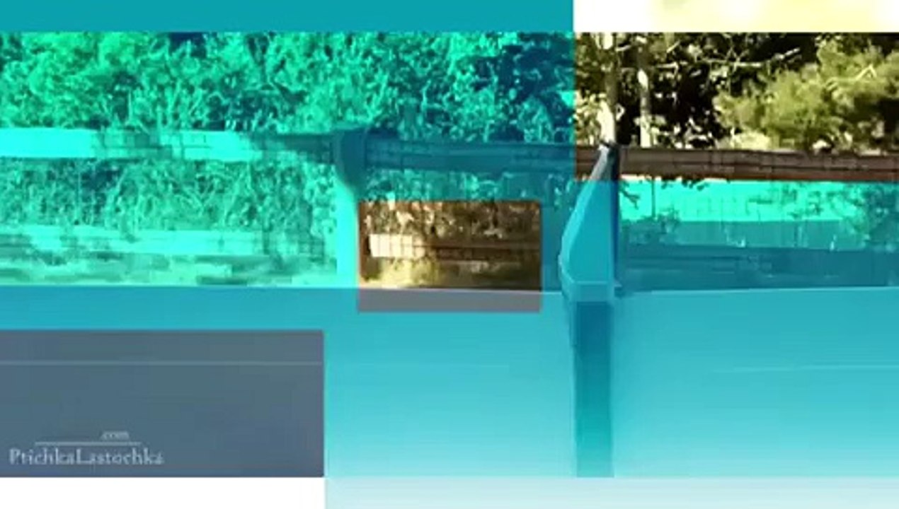 VID-20141228-WA0010.mp4