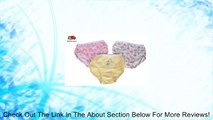 Sponge Bob Fruit of the Loom Toddler/Girls 3-pack brief underwear (sizes 4 - 8) Review
