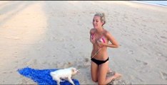 Sahilde Güneşlenen Genç Kız, Bikinisini Köpeğine Kaptırdı