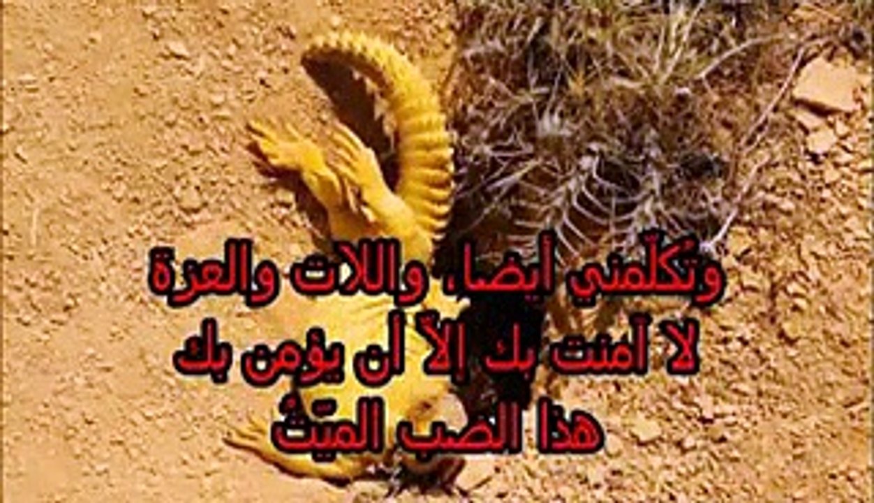 من معجزات النبى صلى الله عليه وسلم