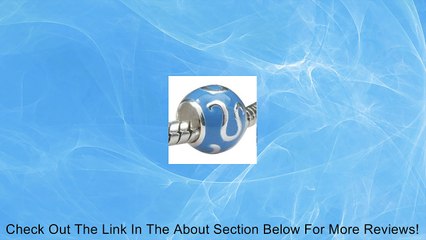 European Charm Bead Zodiac Sign Sterling Silver and Enamel-LEO-Fit All Brands Silver Plated Bracelets Beads Charms Review