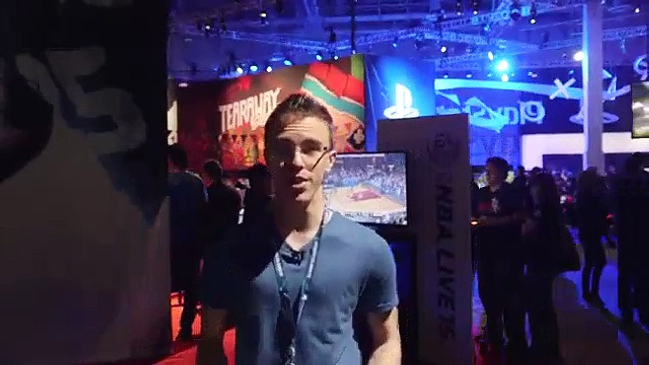 PS4- One Year Later