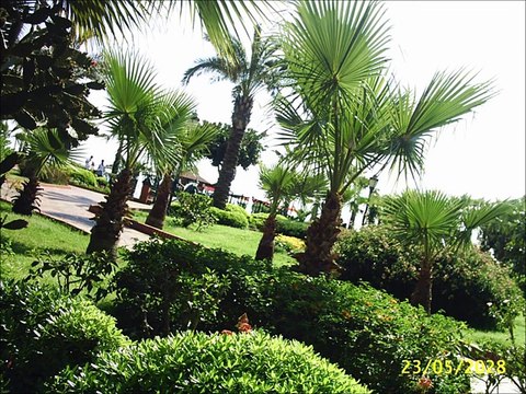 OĞUZ YILMAZ-SARI KIZ - GÖNÜL TÜRKÜLERİ SEVDALI TÜRKÜLERİN GÖNÜL SAYFASI.M.M