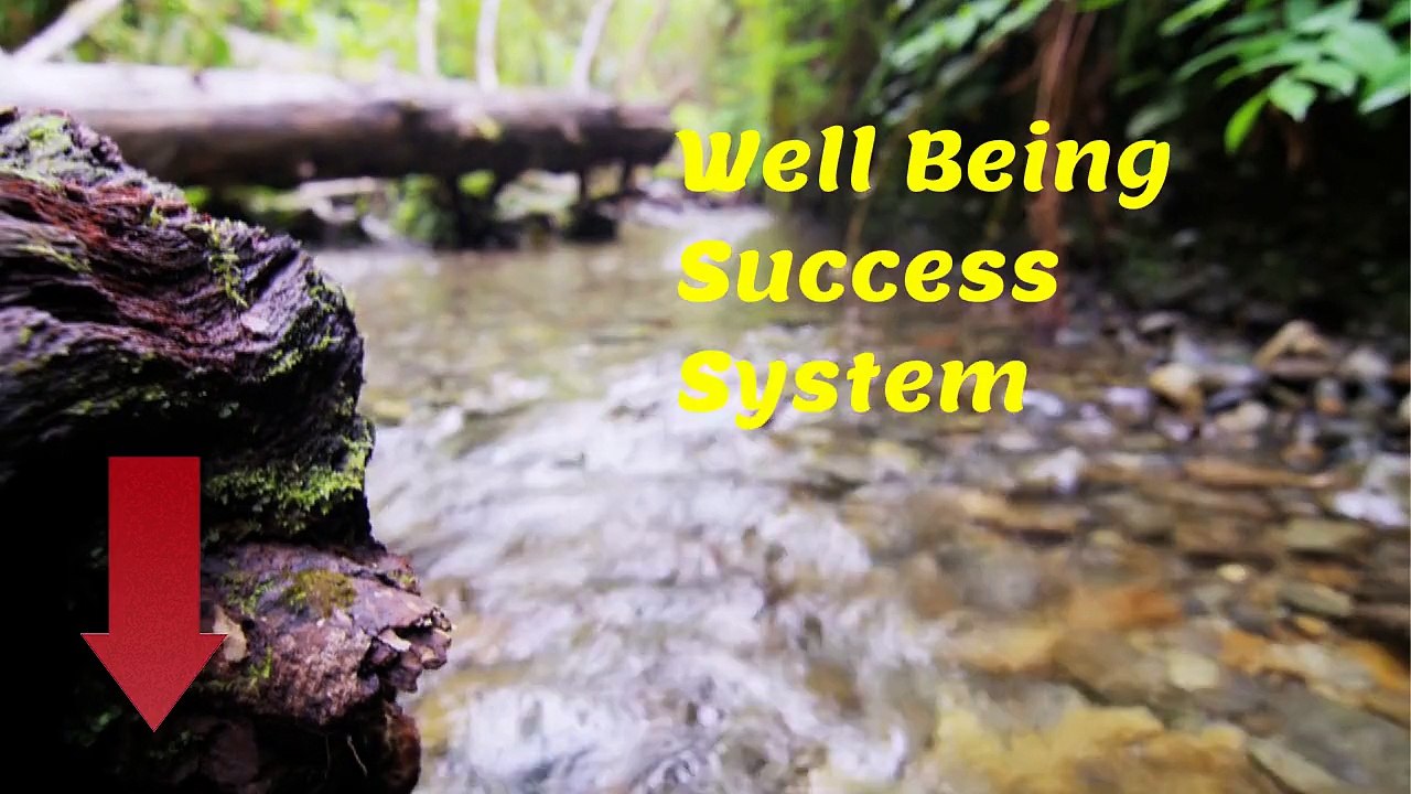 Sarah's Brilliant  Yoga Weight Loss and Well Being