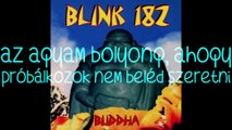 blink-182 –21 Days/21 nap magyar felirattal