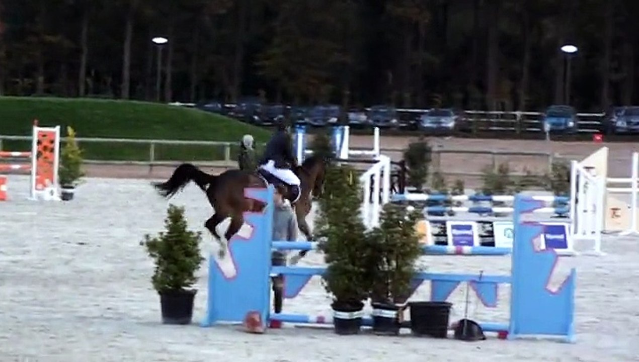 Et le Roy chût.....