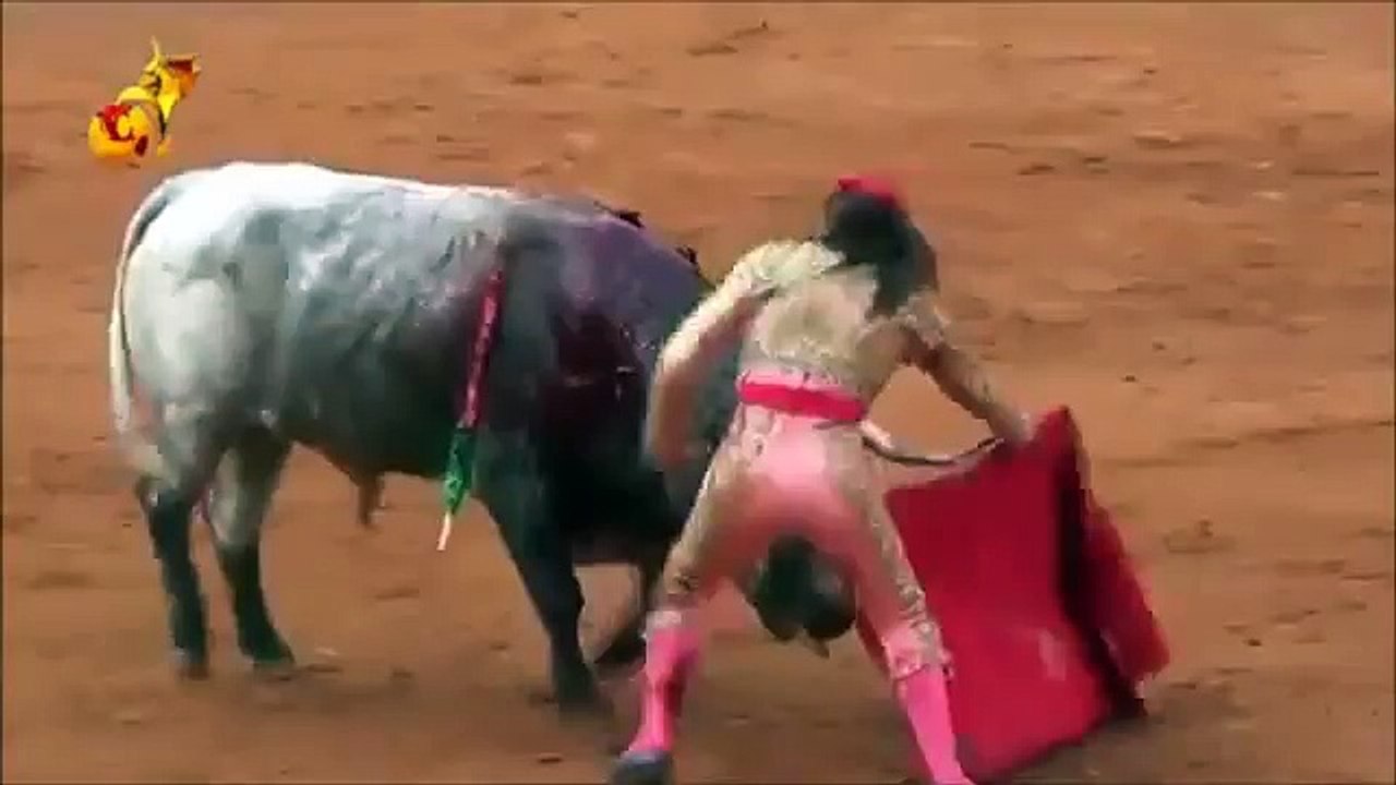 Toureira levando uma chifrada