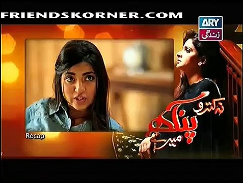 Na Katro Pankh Meray Episode 9 on Ary Zindagi in High Quality 3rd January 2015 - DramasOnline