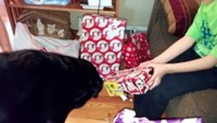 Benny helps open gifts