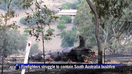Homes lost as bushfire rages out of control in Australia