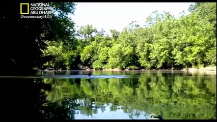 ‫وثائقي _ علم البسطاء _ الحلقة السادسة HD‬‎