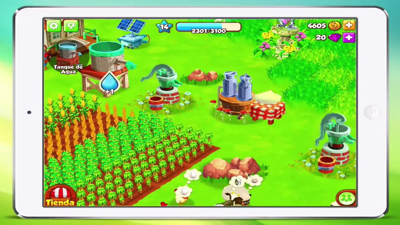 TOP FARM - 14