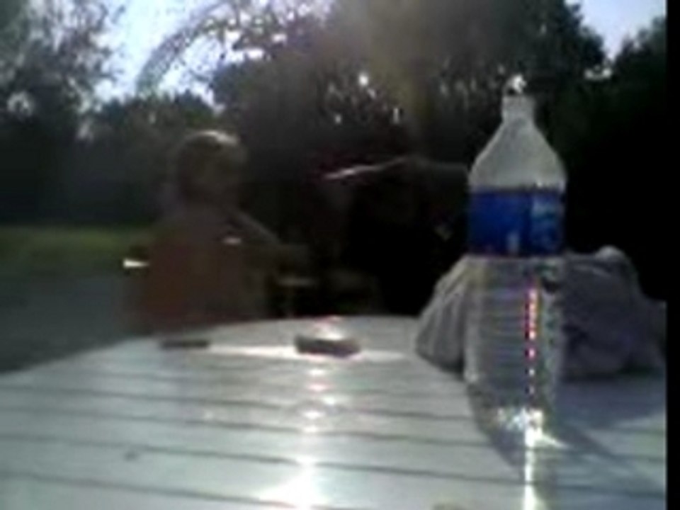 fiancailles cool tranquille