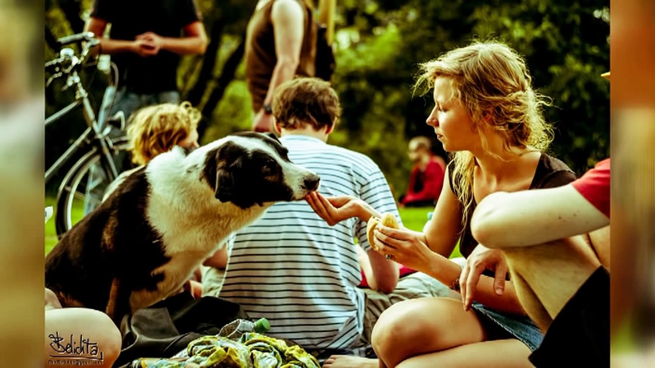 Offener kanal trier, agenda 191