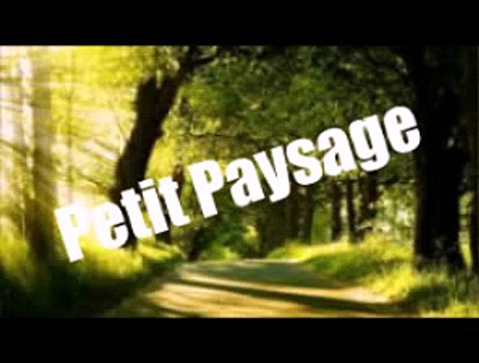 Petit montage