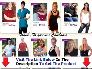Your Body Your Diet Program + Your Body Your Diet Guide
