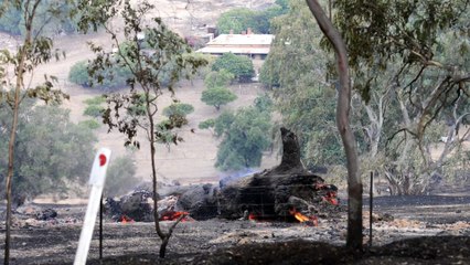 Incendios descontrolados amenazan el sur de Australia