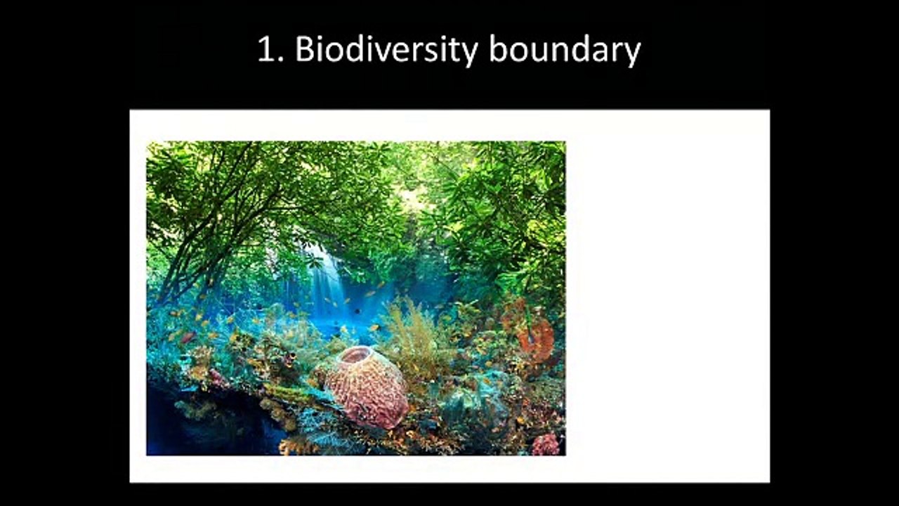 The God Species: Saving Biodiversity From Extinction