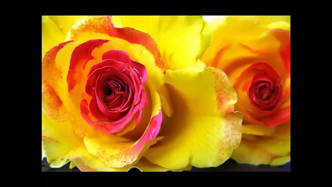 for all dear
