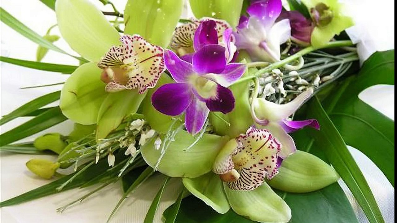 For You All ✿⊱╮