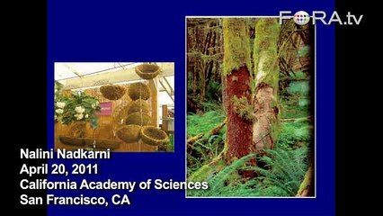 Growing Moss: Using Prisons to Promote Environmentalism