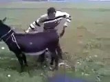 Amazing video of Travelling on a Donkey- Video Dailymotion