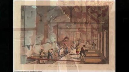 How Sugar, Rum, and Slaves Shaped the Caribbean Islands