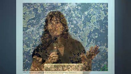 Take a Look at the Oldest Living Things