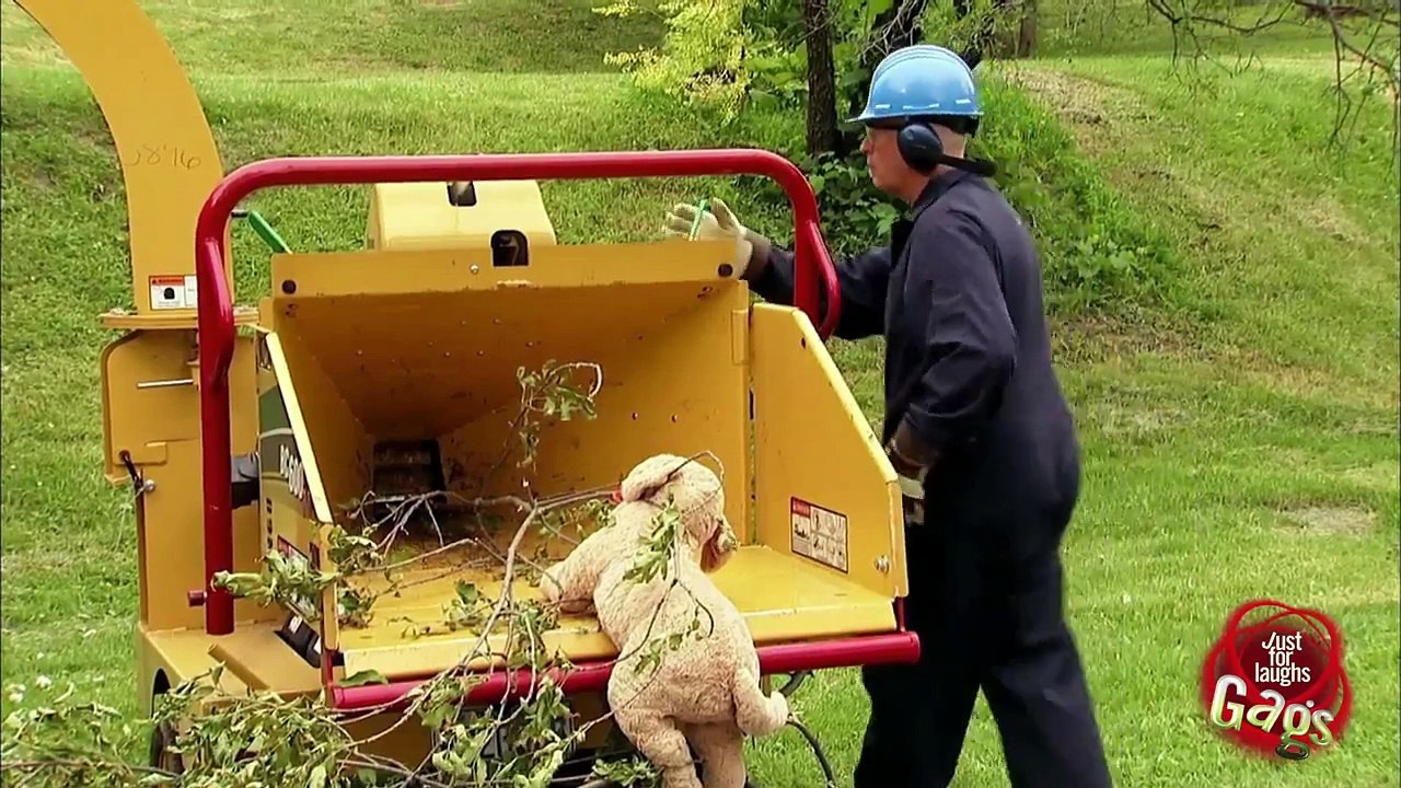 Dog in the Shredder Prank