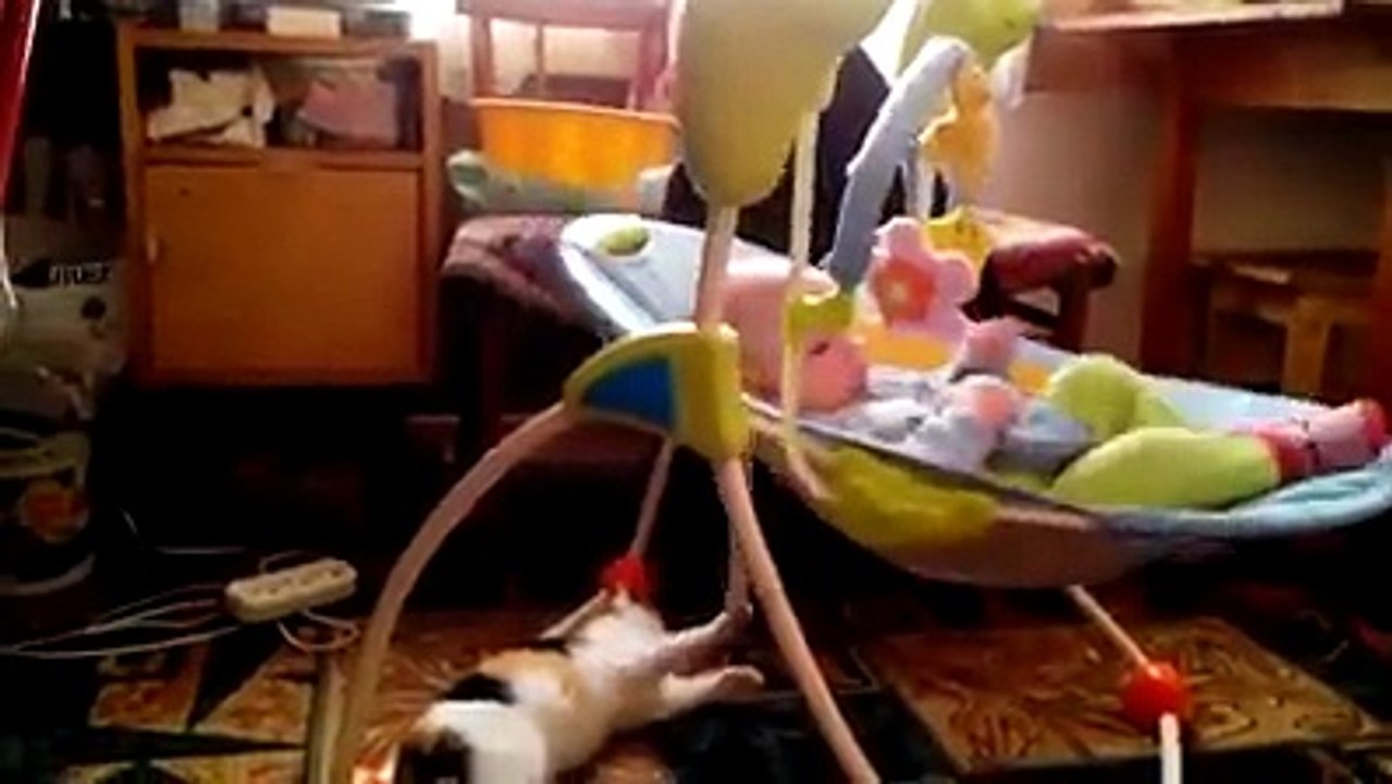 Aisi cats ki muntazir rehti hain aj ki busy mothers